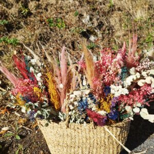 Fleurs séchées